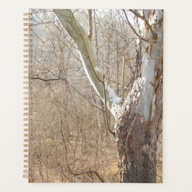 Agenda floresta de inverno (Frente)