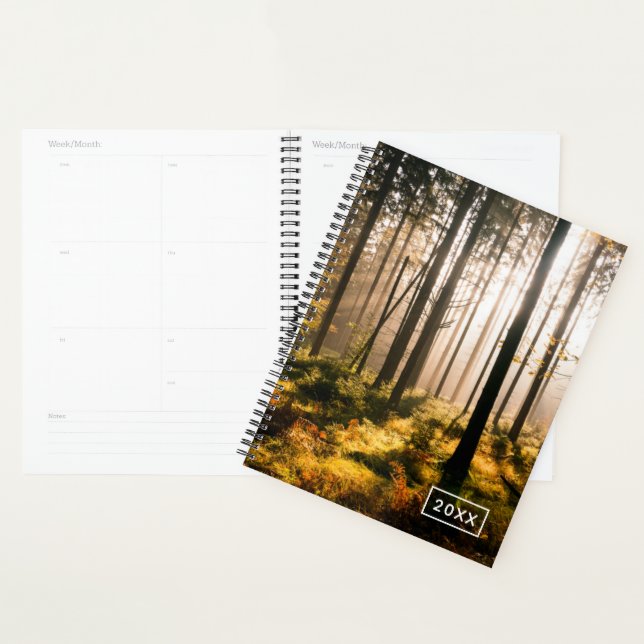 Agenda Floresta de Queda com Raios Solares (Exibição)