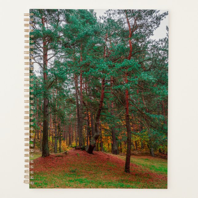 Agenda Floresta do outono (Frente)