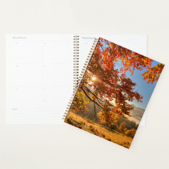 Agenda Floresta do outono nas montanhas (Exibição)