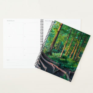 Agenda Floresta no Verão