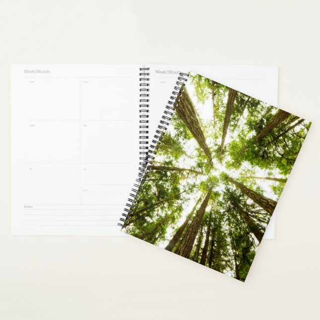 Agenda Floresta Verde Esmagadora (Exibição)