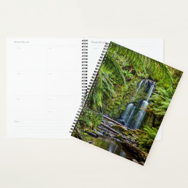 Agenda Florestas | Beauchamp Falls Austrália (Exibição)