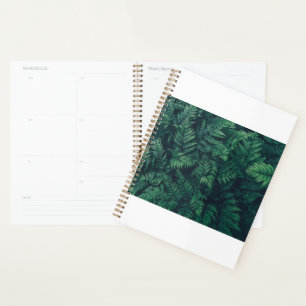 Agenda Florestas Ferns De Madeira