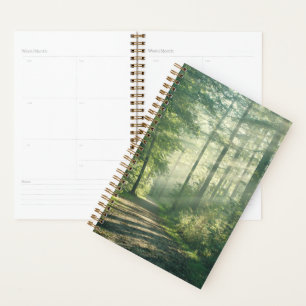 Agenda Florestas Forest Path Hamburg Alemanha