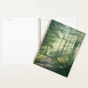 Agenda Florestas Forest Path Hamburg Alemanha