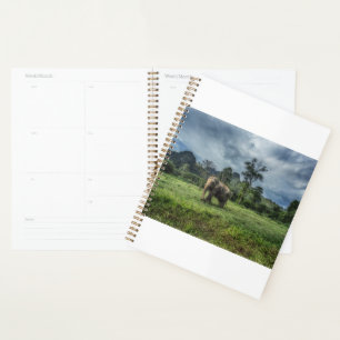 Agenda Florestas   Parque Nacional de Kao Sok