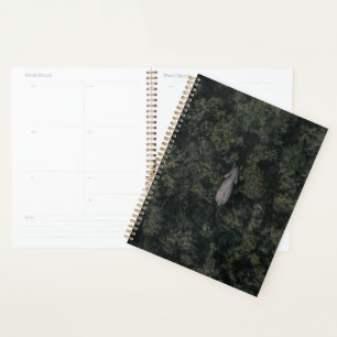 Agenda Florestas Reserva de caça Lalibela