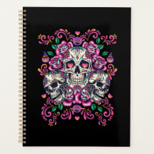 Flórida do crânio, cor de água do esqueleto rosa, 