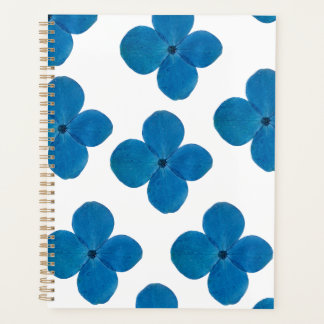 Agenda flowers