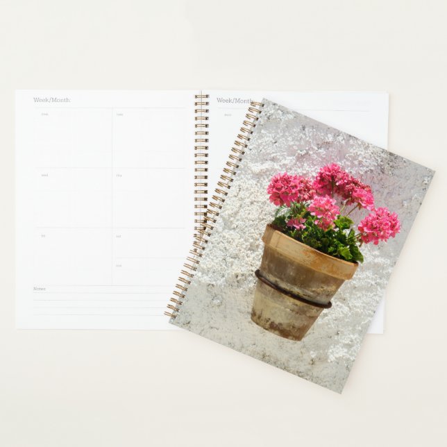 Agenda Flowers | Geranium In Flower in Pot (Exibição)