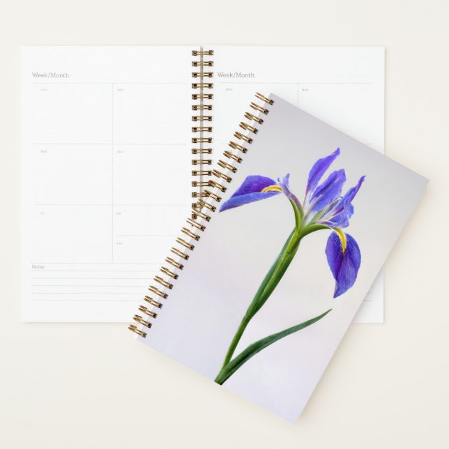 Agenda Flowers | Purple Iris Flower (Exibição)