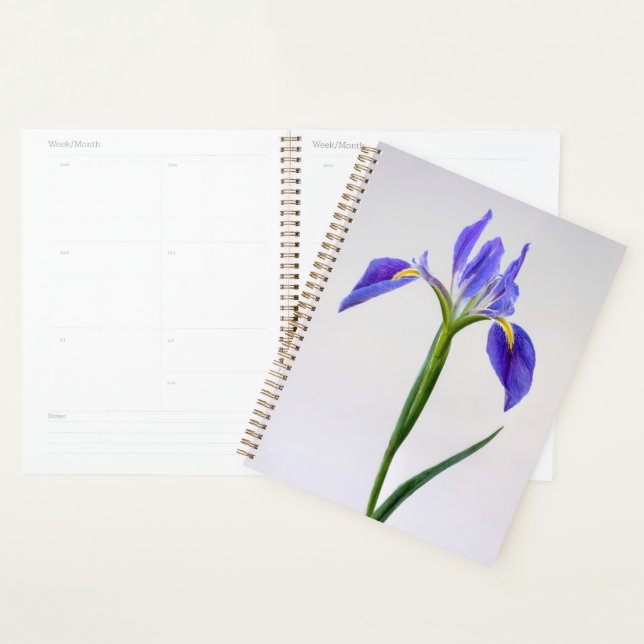 Agenda Flowers | Purple Iris Flower (Exibição)
