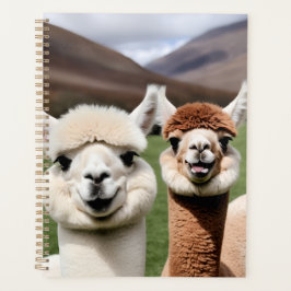 Agenda Fluff & Amizade