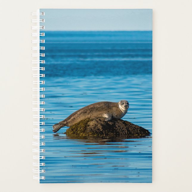 Agenda Foca-do-Atlântico (Frente)