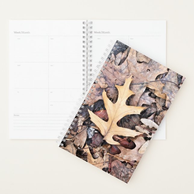 Agenda Folha de Carvalho do Sm Planner (Exibição)