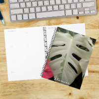 Folha Floral Variegada de Monstera