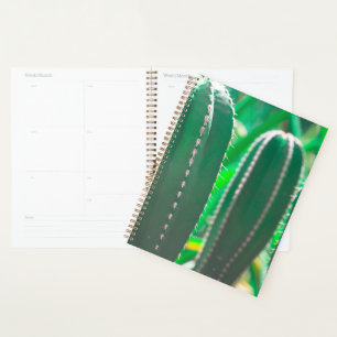 Agenda Folhas de cacto verde suculento