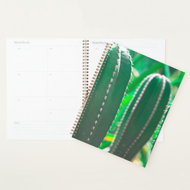 Agenda Folhas de cacto verde suculento (Exibição)