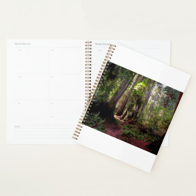 Agenda Forests | Redwood Forest California (Exibição)