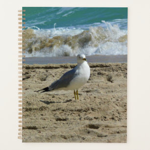 Agenda Fort Lauderdale, Florida