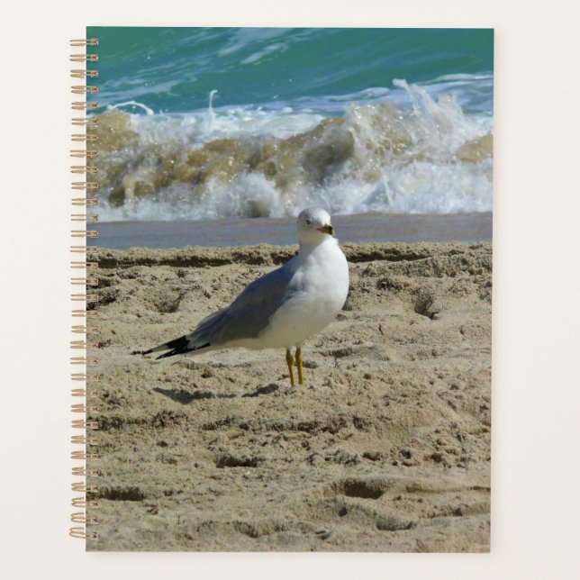 Agenda Fort Lauderdale, Florida (Frente)