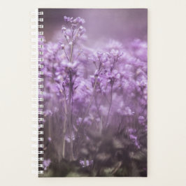 Agenda Foto da Natureza da Flor Cuckoo