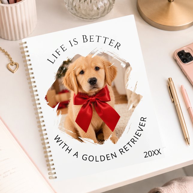 Agenda foto de cachorro Retriever Dourado (Criador carregado)