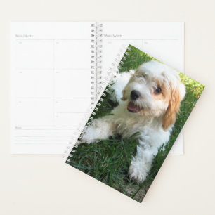 Agenda Foto de Cavachon Personalizada, Cachorro