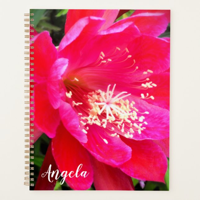 Agenda Foto de Flor Rosa Tropical (Frente)