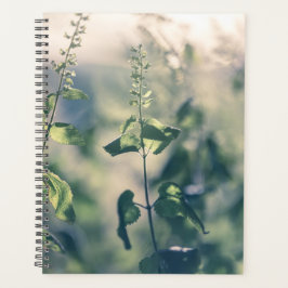 Agenda Foto de natureza floral