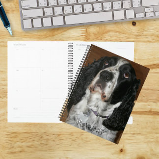 Agenda Foto de Pet do Spinger Spaniel Inglês