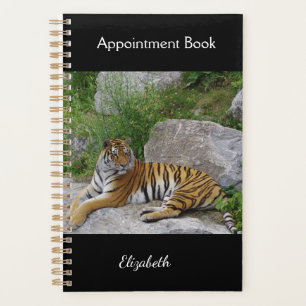 Agenda Foto de retrato de um tigre siberiano