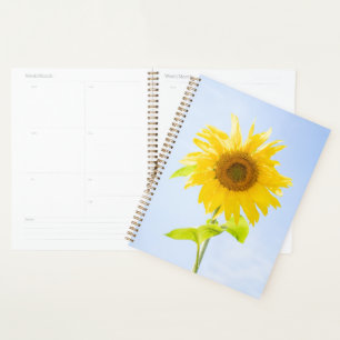 Agenda Foto de Sunflower Nature