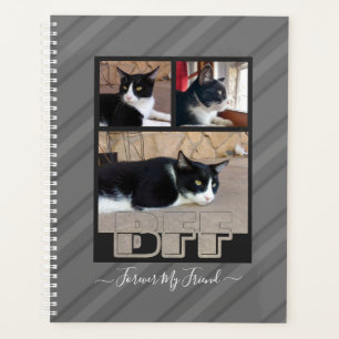 Agenda Foto do BFF para o meu amigo
