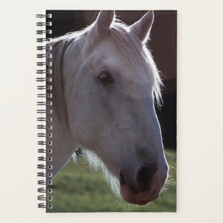 Agenda Foto do Equino Equino Branco do Planner