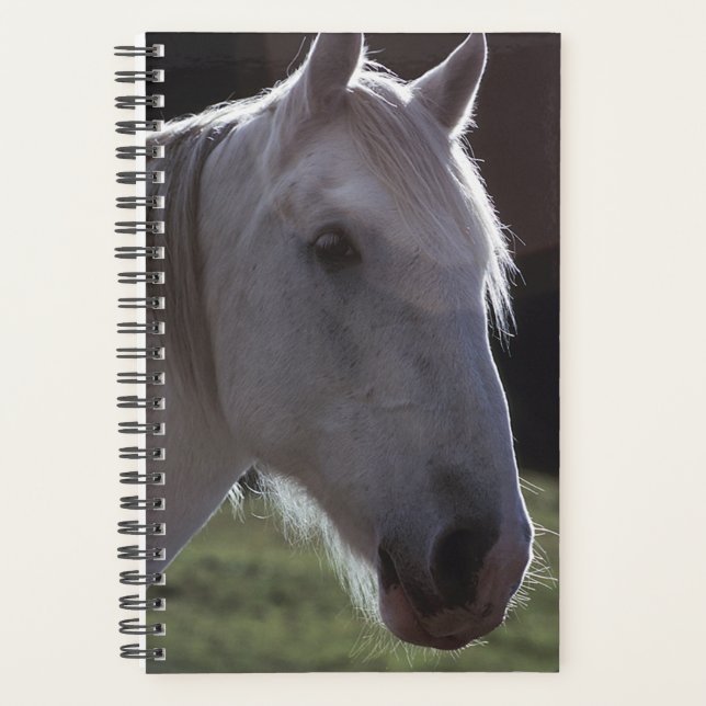 Agenda Foto do Equino Equino Branco do Planner (Frente)