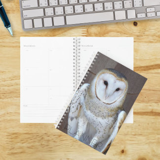 Agenda Foto do Raptor Barn Owl
