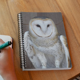 Agenda Foto do Raptor Barn Owl