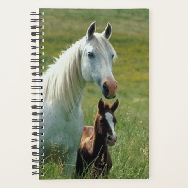 Agenda Foto Equina Mare Foal de Altura (Frente)