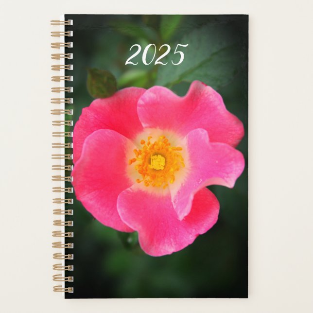 Agenda Foto Floral Rosa Rosa Rosa Rosa Rosa Rosa Rosa Ros (Frente)