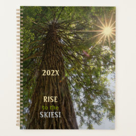 Agenda Foto inspiracional RISE da Sequoia para o Céu