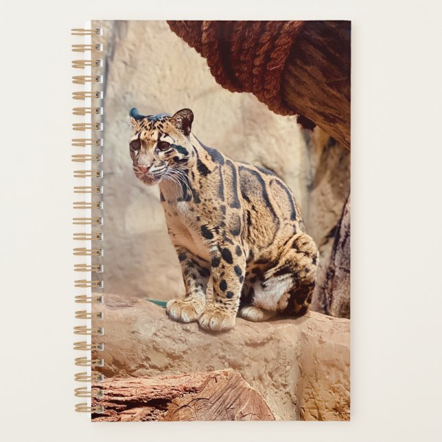 Agenda foto-leopardo nublada natureza vida selvagem exóti (Frente)