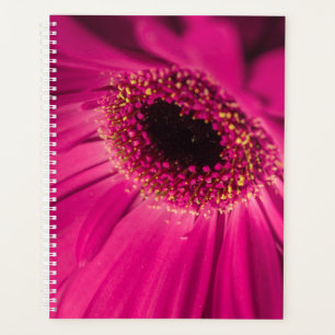 Agenda Foto, macro