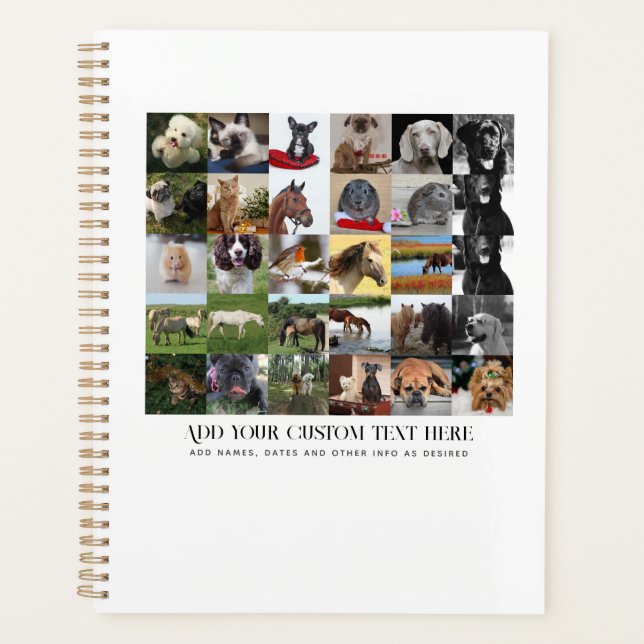 AGENDA FOTO OFERECE MODELOS AMIGOS DA FAMÍLIA PETS PERSON (Frente)
