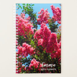 Agenda Fotografia de Flores de Árvore Rosa-Colza