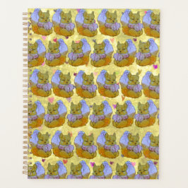 Agenda Fox named Dice