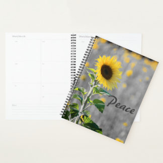 Agenda Frase "Paz", Campo de Girassóis, Preto e Branco