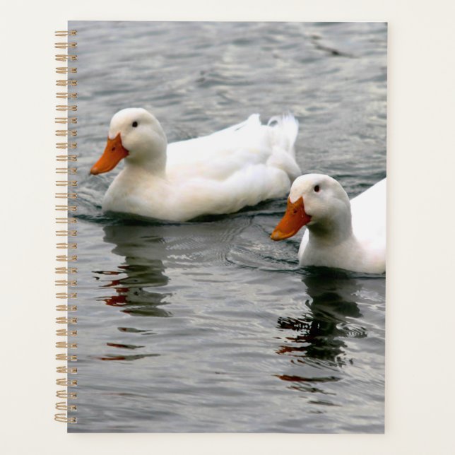 Agenda Friends For Life (Frente)