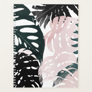 Agenda Fronteiras do Palm do Paraíso